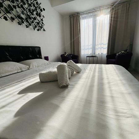 Calea Victoriei Chic Stay Bükreş Dış mekan fotoğraf