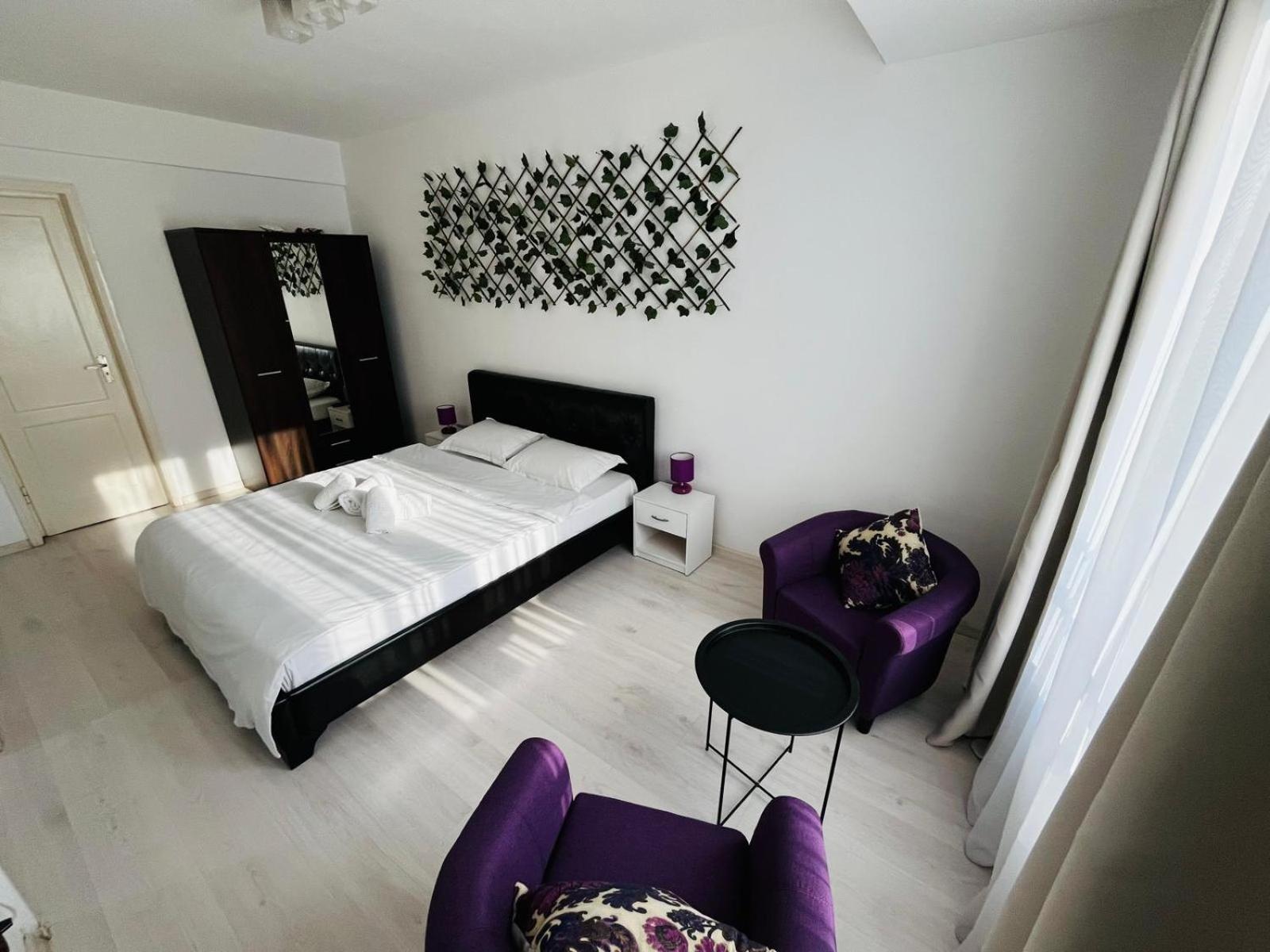 Calea Victoriei Chic Stay Bükreş Dış mekan fotoğraf
