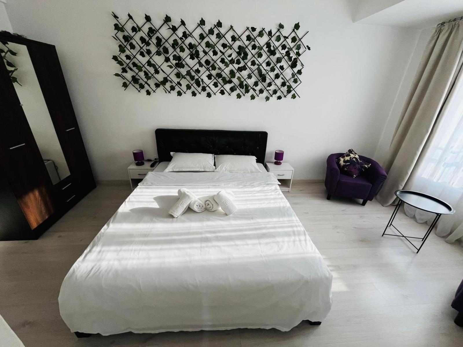Calea Victoriei Chic Stay Bükreş Dış mekan fotoğraf